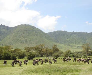 2 days Tanzania travel to Lake Manyara and Ngorongoro crater