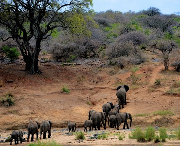 2 days Tanzania safari holidays to Tarangire and Ngorongoro crater