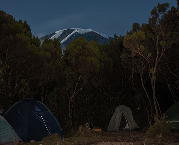 1 day Kilimanjaro hike to Mandara hut
