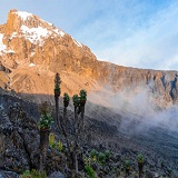 8 days Lemosho route Kilimanjaro hiking