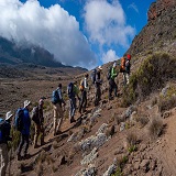7 days Lemosho route Kilimanjaro trekking
