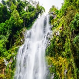 Materuni waterfalls & coffee tour